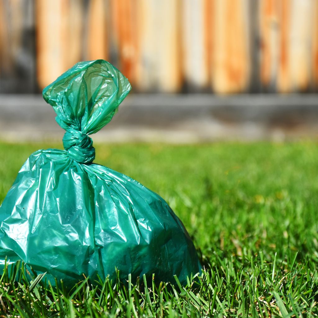 Green trash bag tied closed sitting on bright green grass